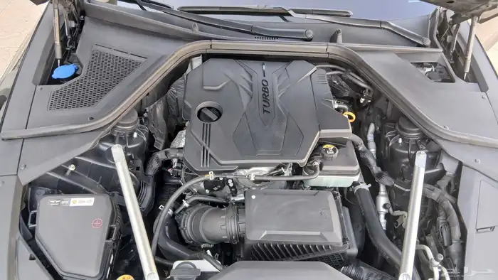 جينسس 2021 شرط 19