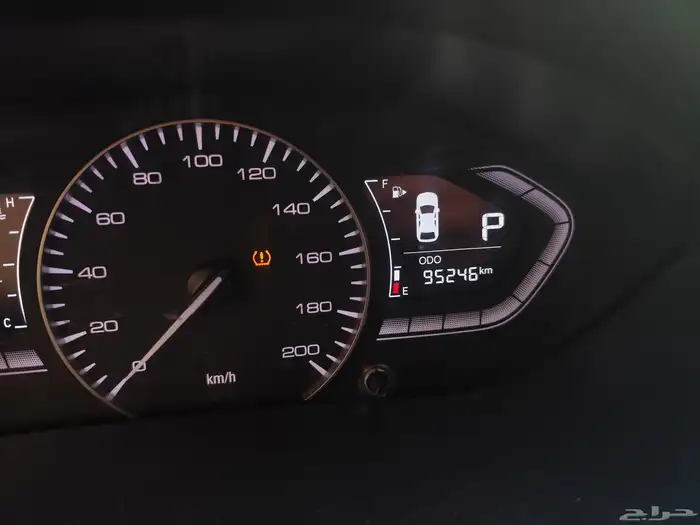 شانجان السفن 2021 7