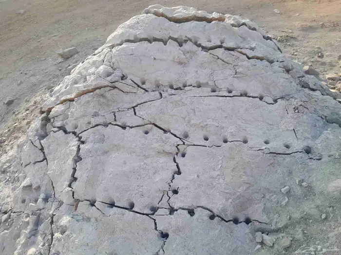 بوكلين للايجارحفر الاراضي وهدم العماير والبيوت الشعبي وتخريم 16