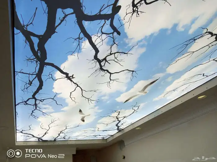 اسقف بتصاميم خيال 2