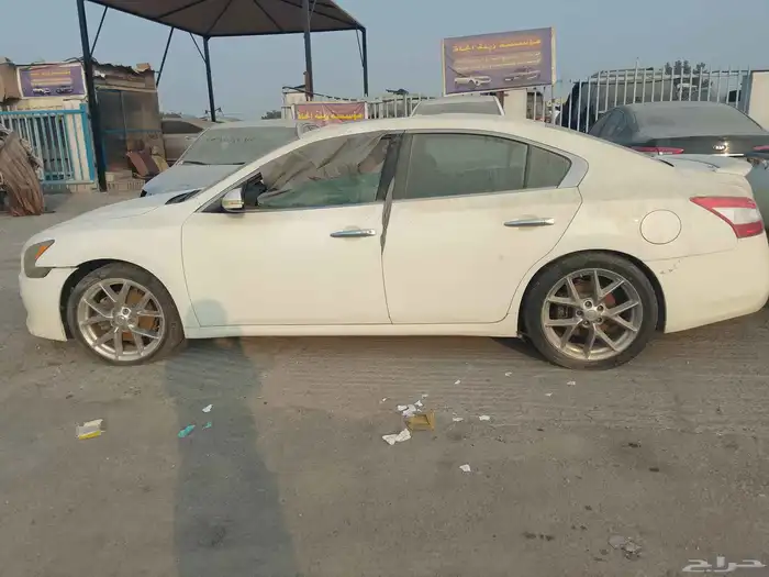 مكسيما موديل 2010 1