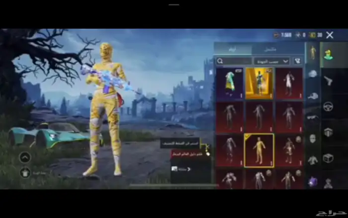 حساب ببجي للبيع 2