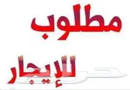 مطلوب شقة للايجار 0