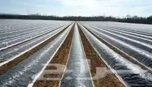 أغطية التربه الزراعية من مادة البولي ايثيلين PE عاليه الجوده 0