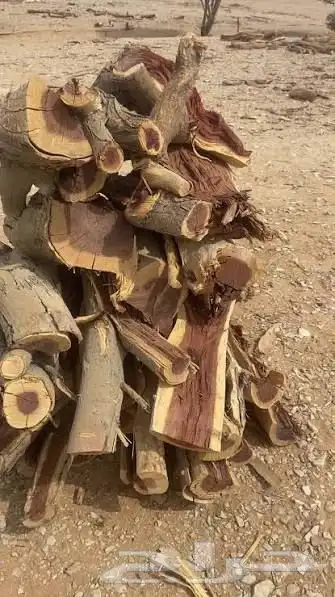 حطب سمر للبيع 0
