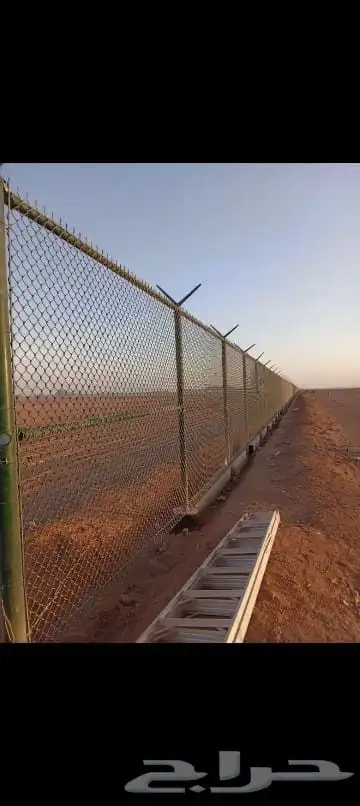 زراعه نخيل عربي واشنطني واعمال الشبوك وتوريدها 9