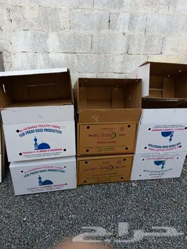 للبيع كراتين بيض للنقل العفش نظيف وقويه 7