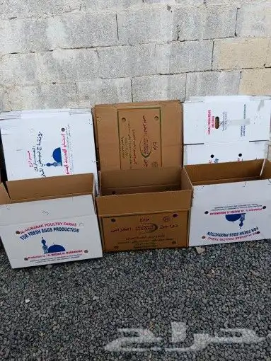 للبيع كراتين بيض للنقل العفش نظيف وقويه 2