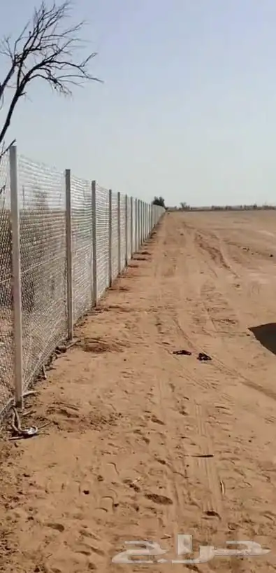 مقول نخل وشبوك مزارعه 1