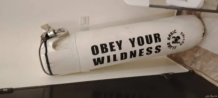 كيس ملاكمة معلق 0