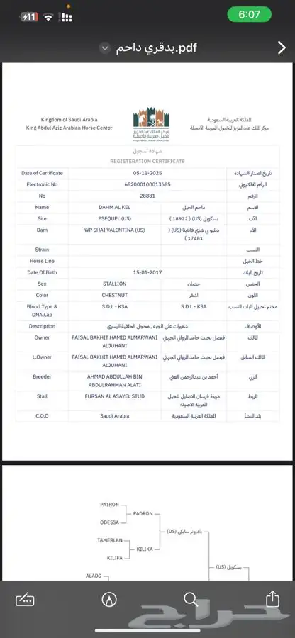 حصان واهو مكس 5
