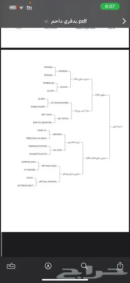 حصان واهو مكس 6