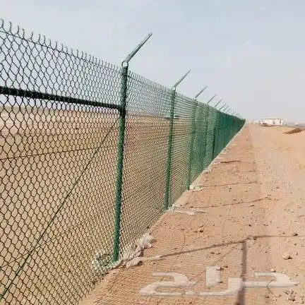 زراعه نخيل عربي واشنطني واعمال الشبوك وتوريدها 7