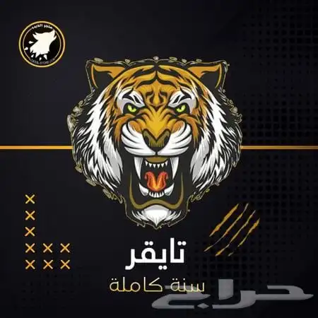 باقة تايقر - سنة كاملة - TIGER 0