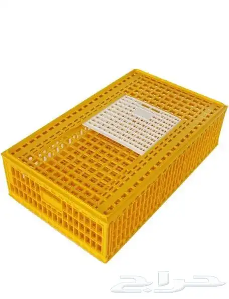 مطلوب دينه 1