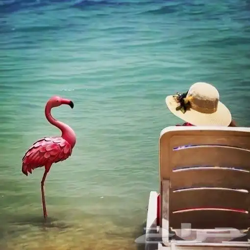 درة العروس فلل وشاليهات 9