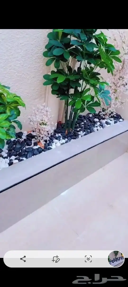 مشتل تنسيق حدايق 9