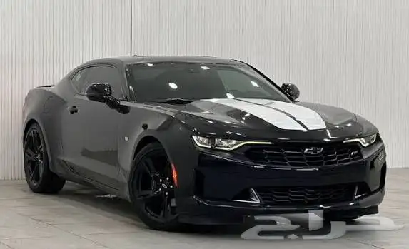 مطلوب كمارو 0