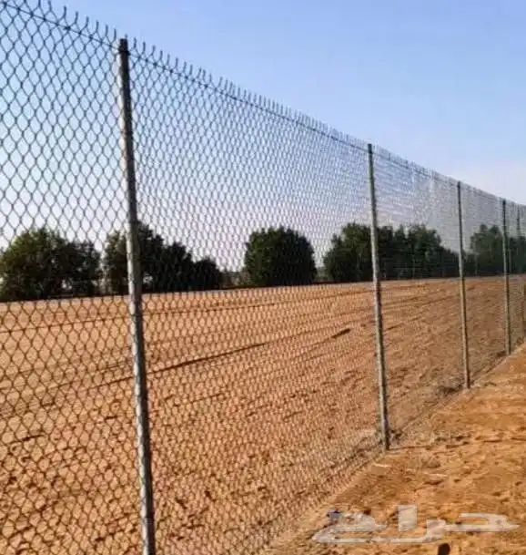 مقول نخل وشبوك مزارعه 6