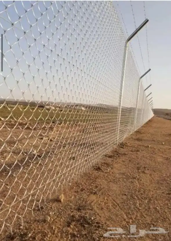 ابومحمد لتوريد جميع انواع النخيل المثمروتركيب الشبوك 050126 6