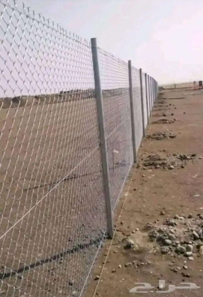 مقول نخل وشبوك مزارعه 4