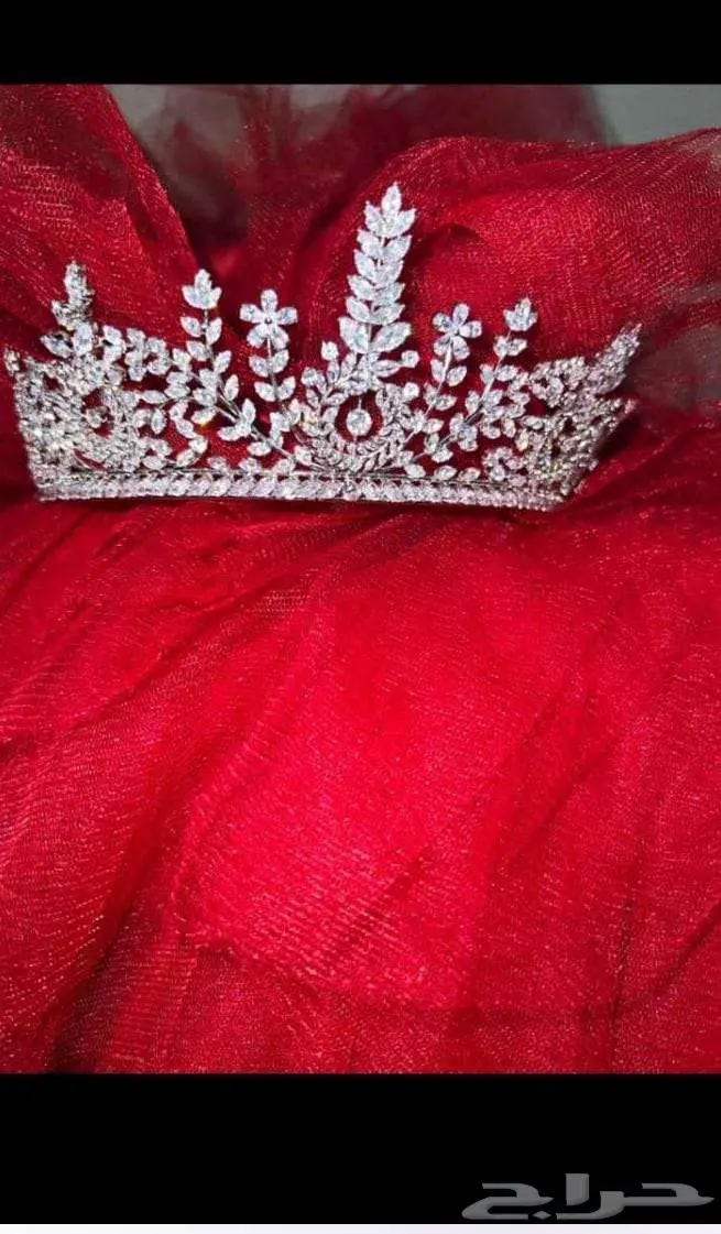للبيع فستان ملكة لم يابس 1