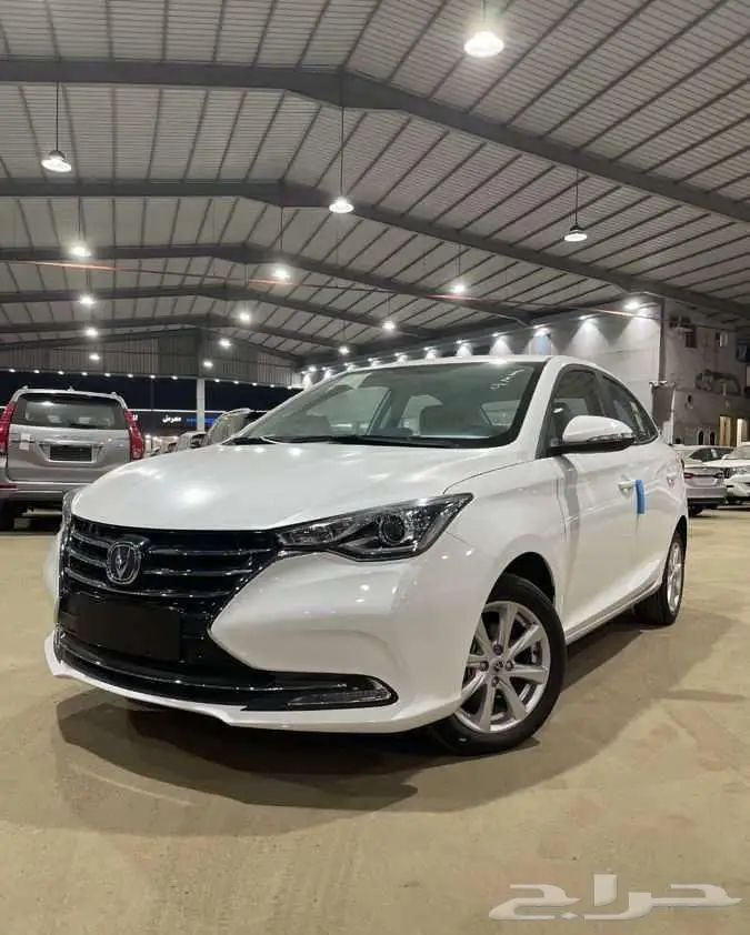 شانجان السفن 2026 استاندر 1