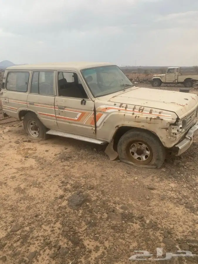 شاص 80وصالون 84 0