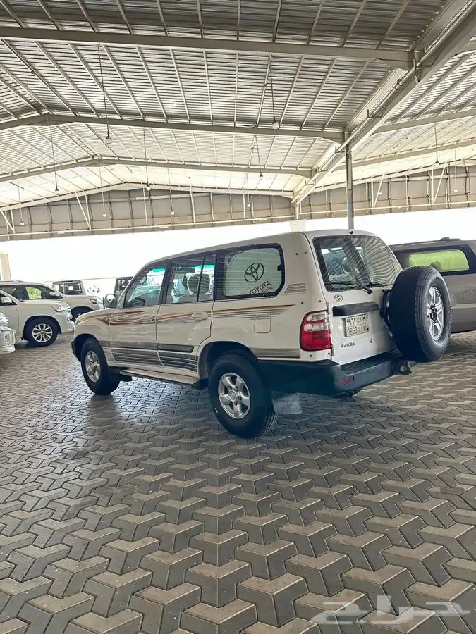 جكسار 99 دفلك 35