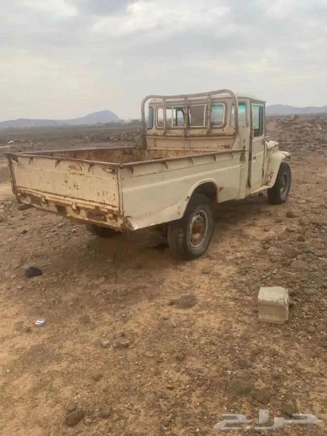 شاص 80وصالون 84 5