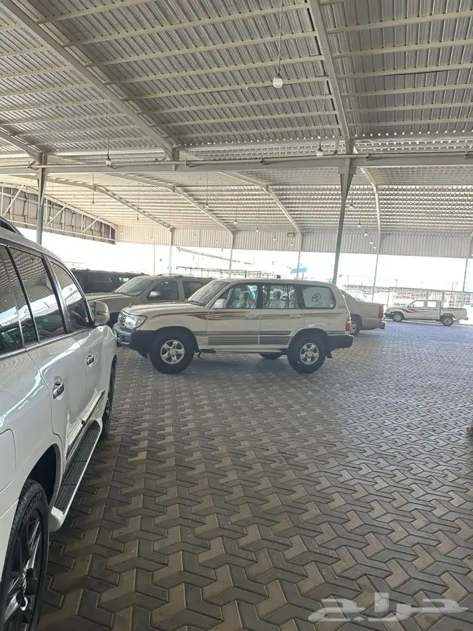 جكسار 99 دفلك 23