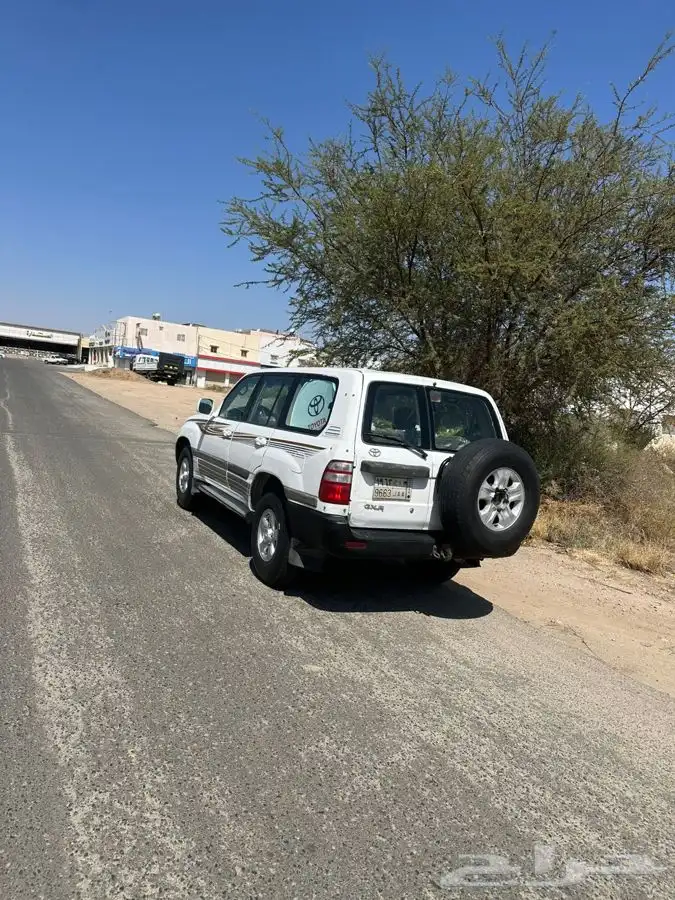 جكسار 99 دفلك 38