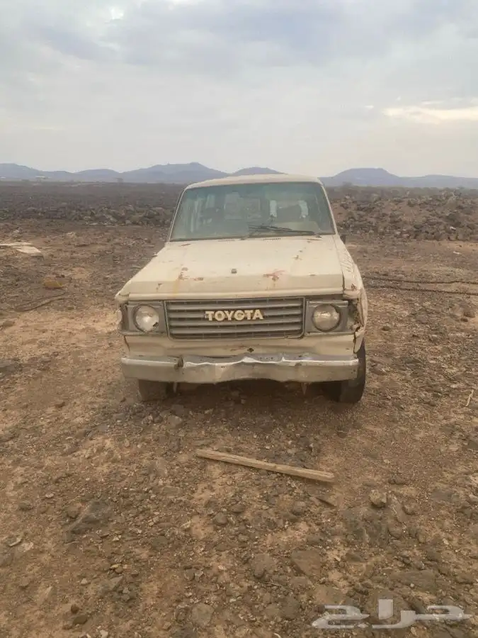 شاص 80وصالون 84 1