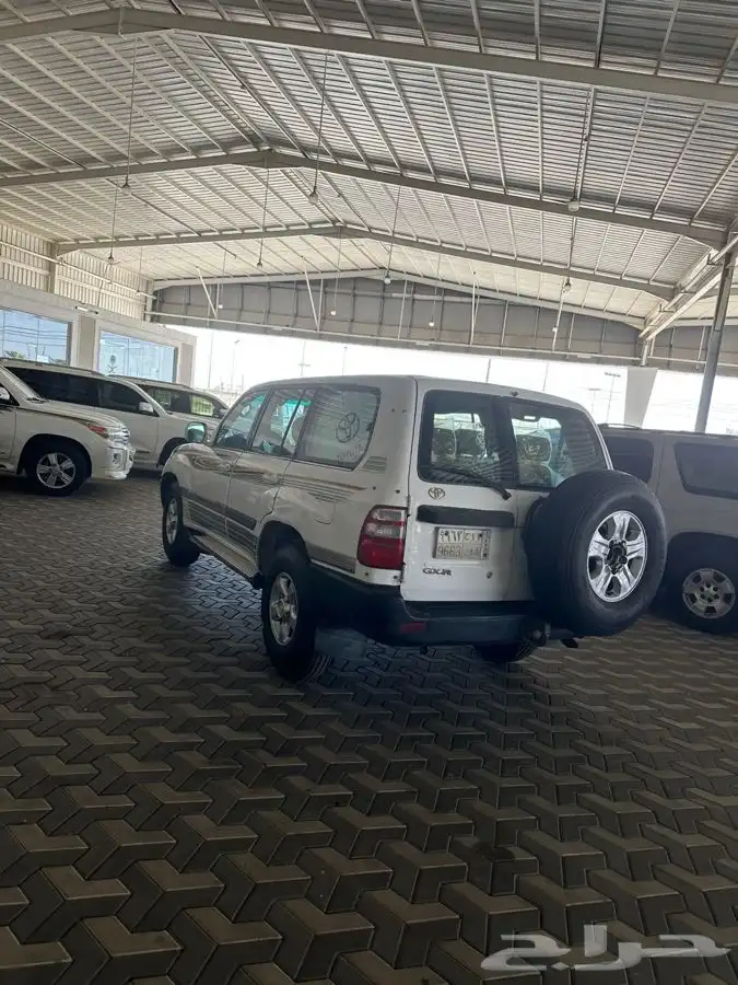 جكسار 99 دفلك 10