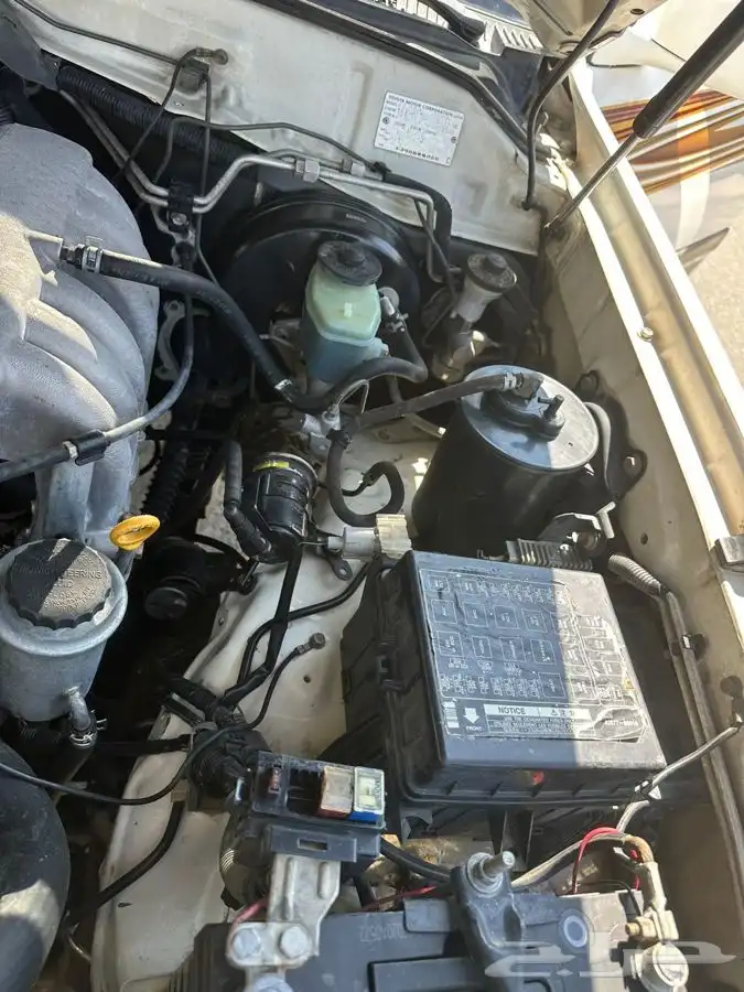 جكسار 99 دفلك 9