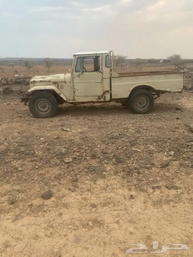 شاص 80وصالون 84 3