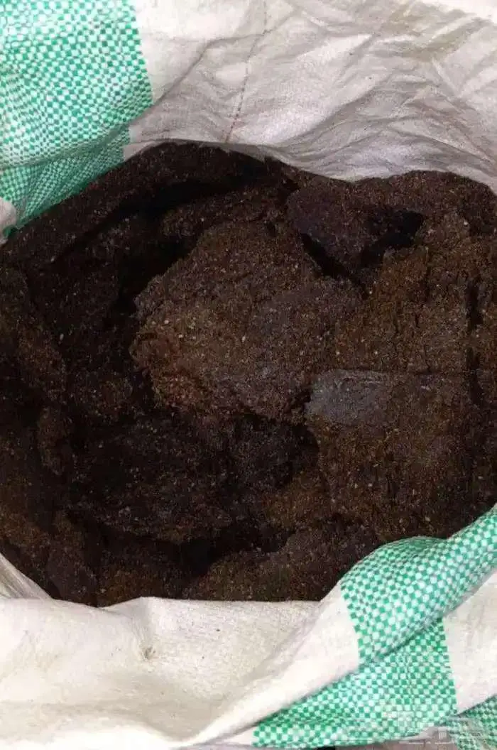 تخ سمسم عصارة سمسم للبيع 0