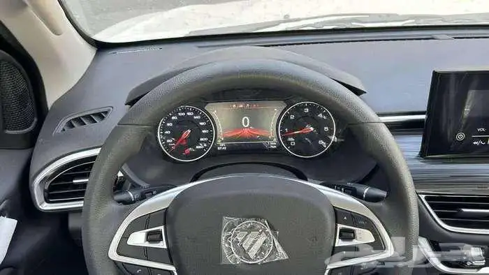 فوتون تونلاند غماره ديزل جوانب 2026 7