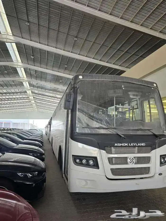 باص تام 2026 ديزل قير عادي 64 راكب عرض خاص ركاب فامكو الفطيم 0