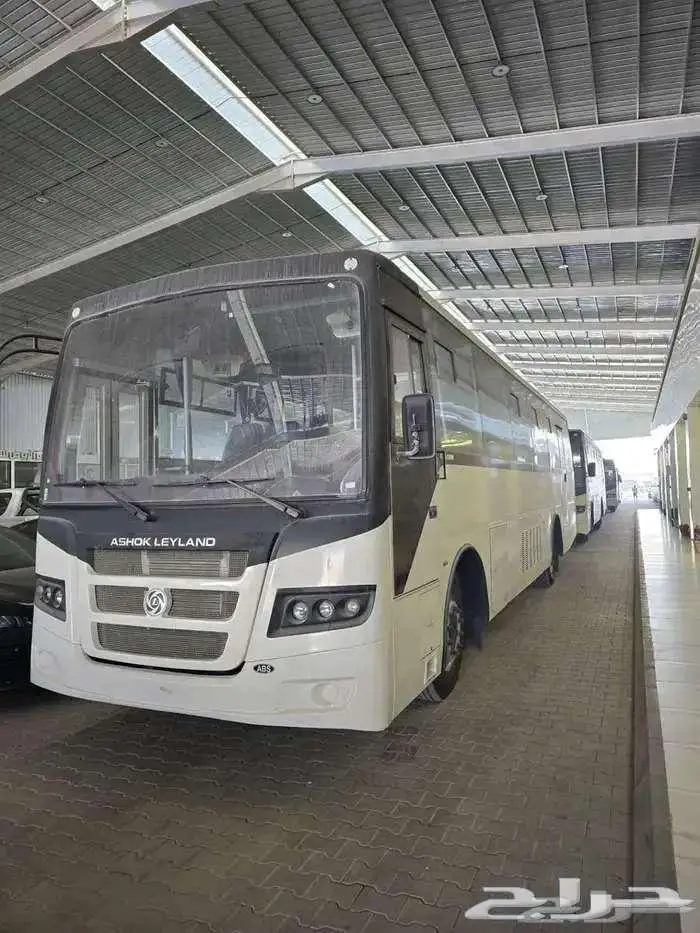 باص تام 2026 ديزل قير عادي 64 راكب عرض خاص ركاب فامكو الفطيم 2