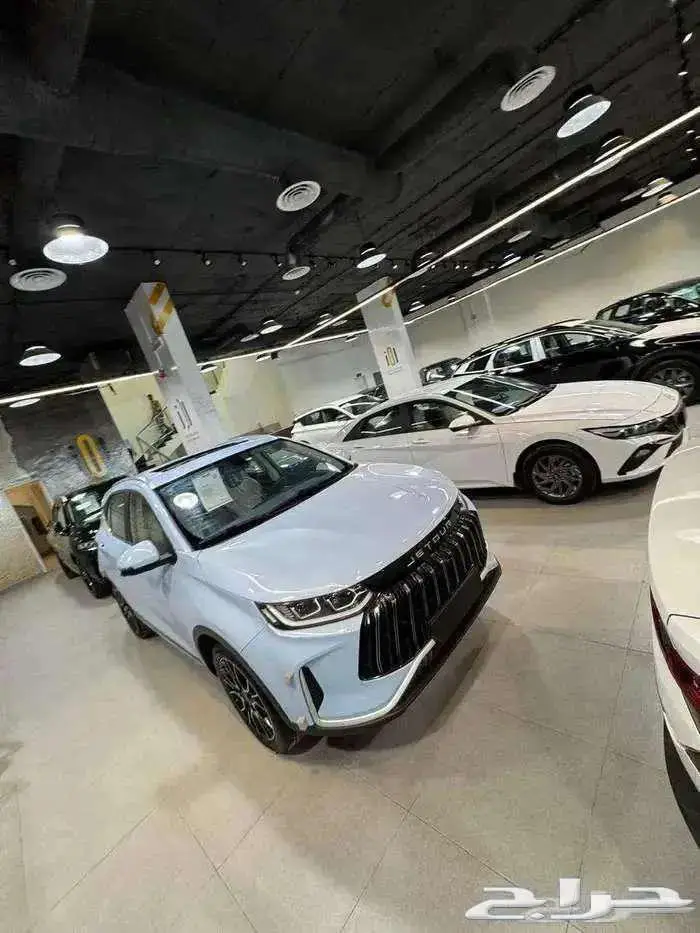 جيتور اكس 50 بريمير 2025 0