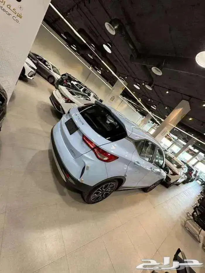 جيتور اكس 50 بريمير 2025 5