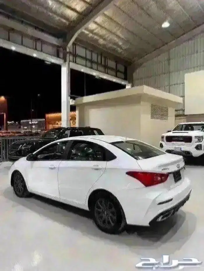 شيري اريزو 5 2024 4