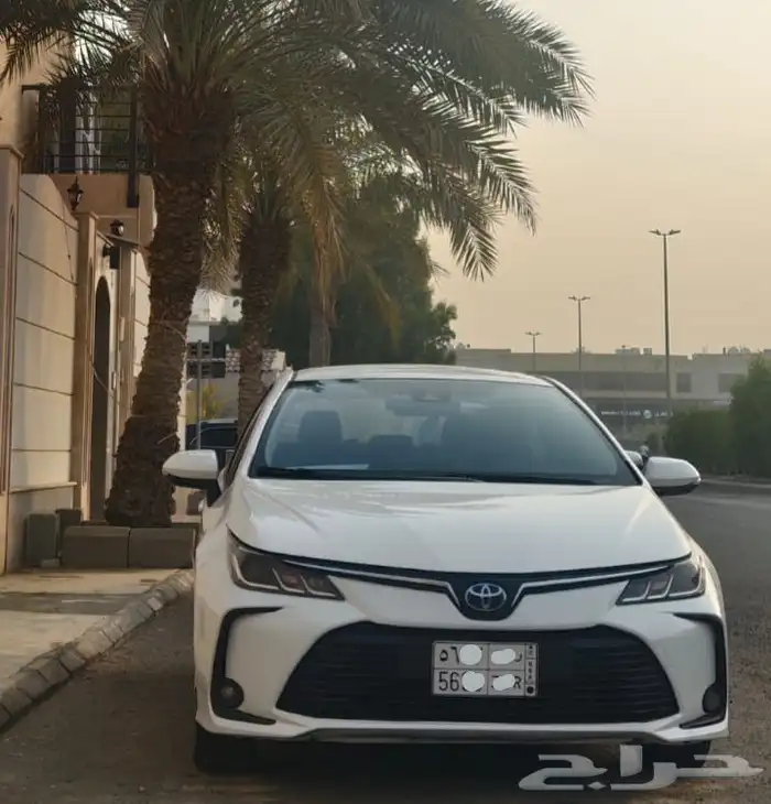 كوريلا هايبرد 2023 0