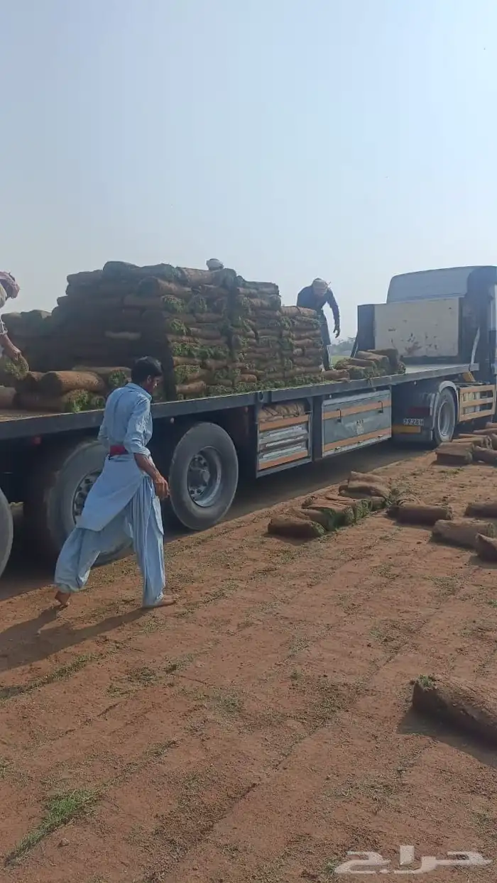 نجيل طبيعي 3