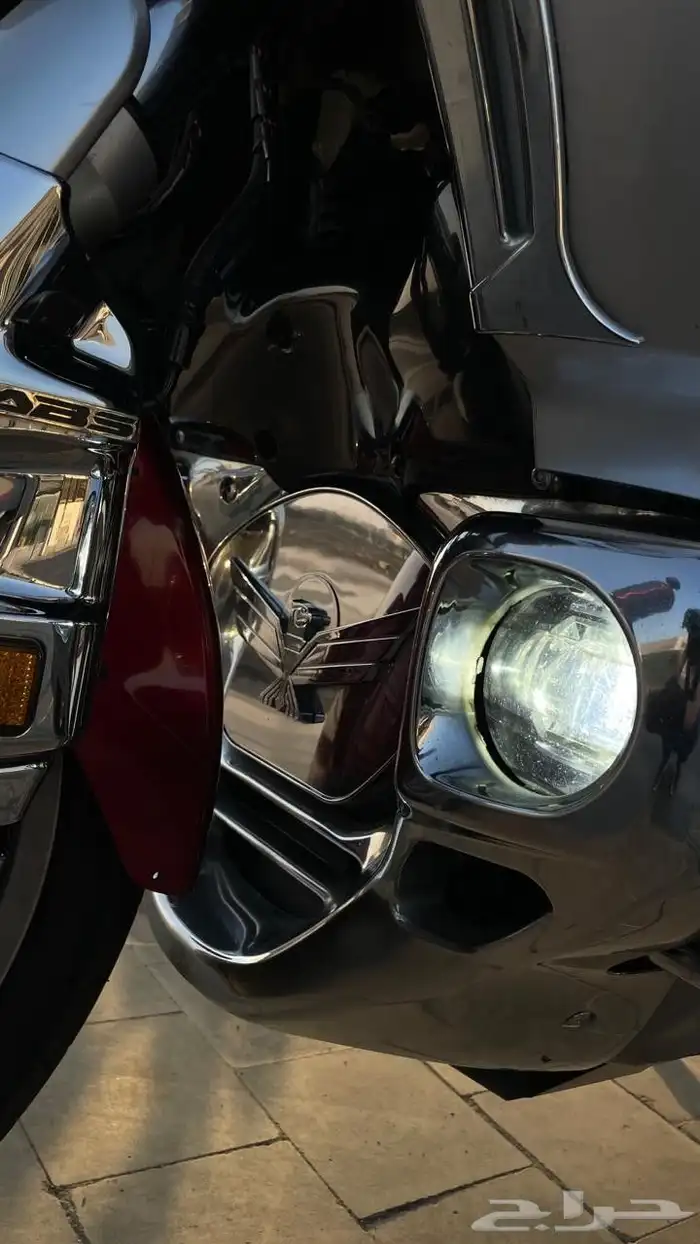 رحال قولد وينق 2012 8