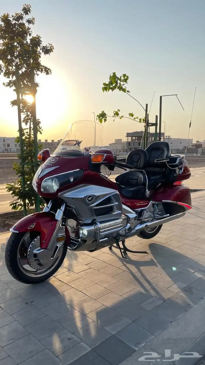 رحال قولد وينق 2012 3