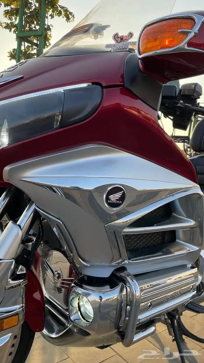 رحال قولد وينق 2012 4