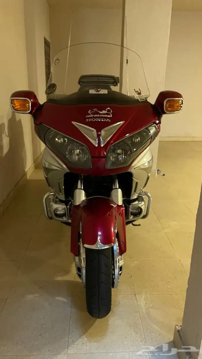 رحال قولد وينق 2012 11