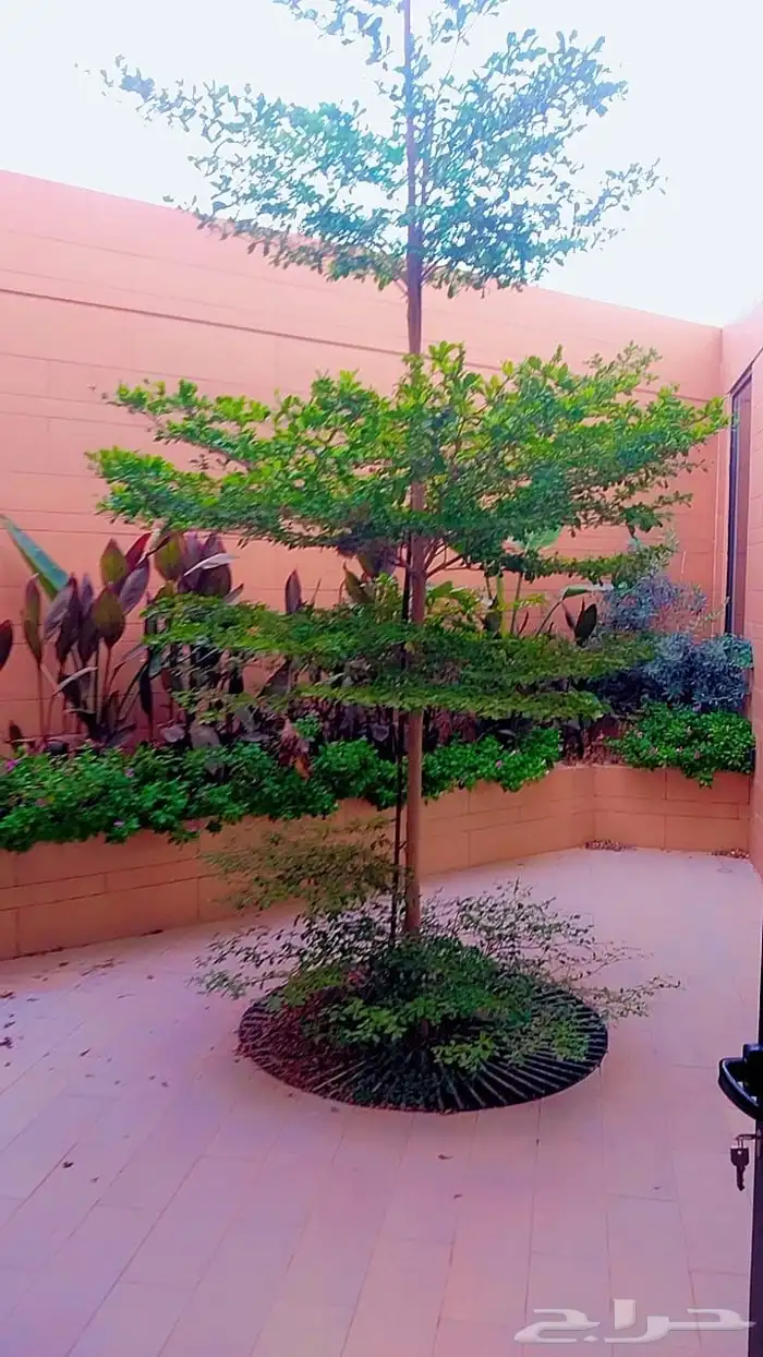 مشتل تنسيق حدايق 3